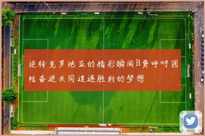 逆转克罗地亚的精彩瞬间B费呼吁团结奋进共同追逐胜利的梦想